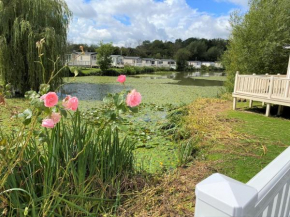 Lilly Pad, South Cerney